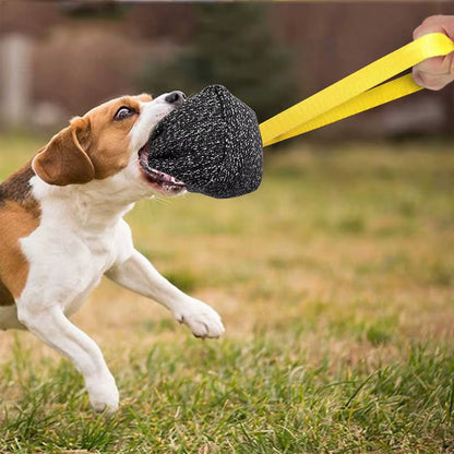 Factory Dogs Bite Tugs Pillow Training Nylon Rope Handle Tug Toy Indestructible Nylon Dog Toy Pet Chewing Ball Toy