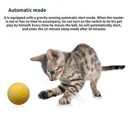 New Arrivals USB Charging Fun Sports Spin Jump Ball Intelligent Interactive Pet Toys Dog and Cat Accessories