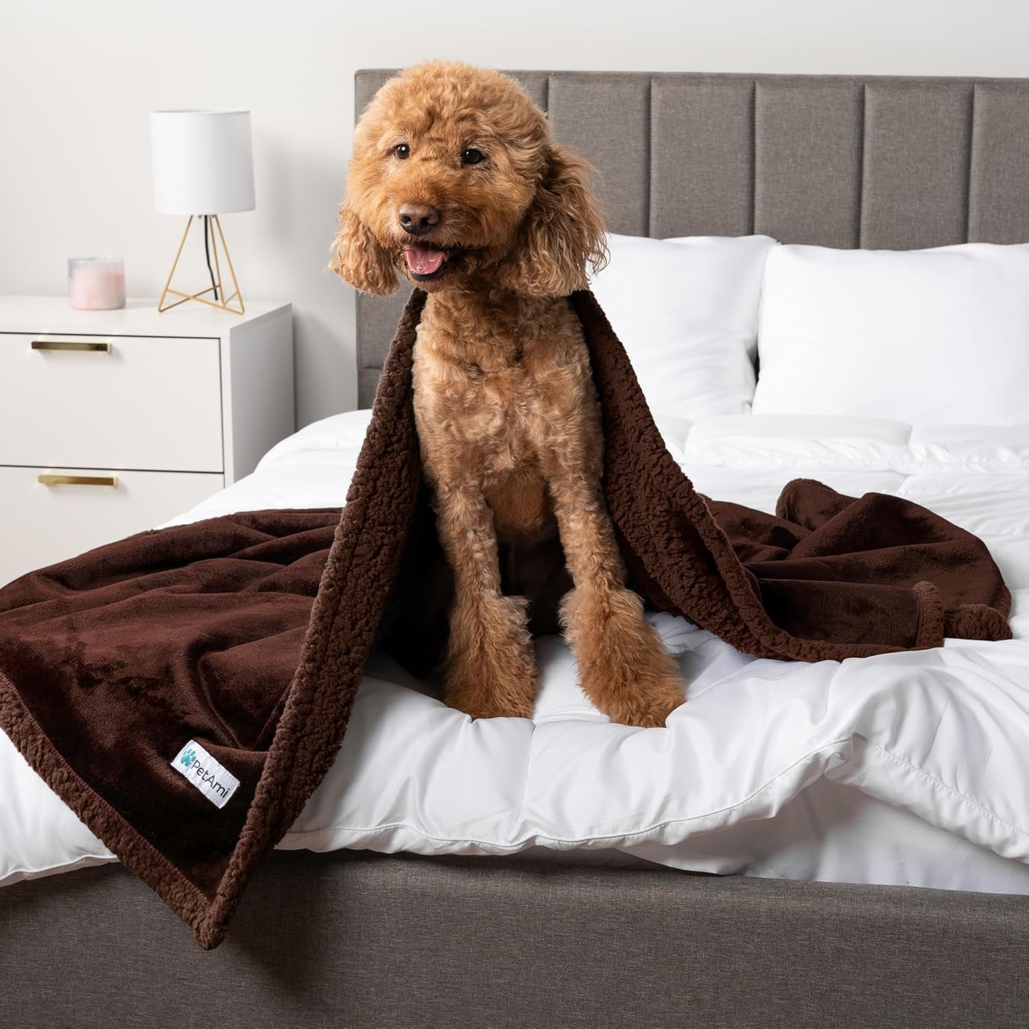 Waterproof Dog Blanket for Medium Large Dog Puppy Cat Throw for Couch Cover Leakproof Protection, Sherpa Fleece, Reversible Soft Washable 60X40 Brown Brown