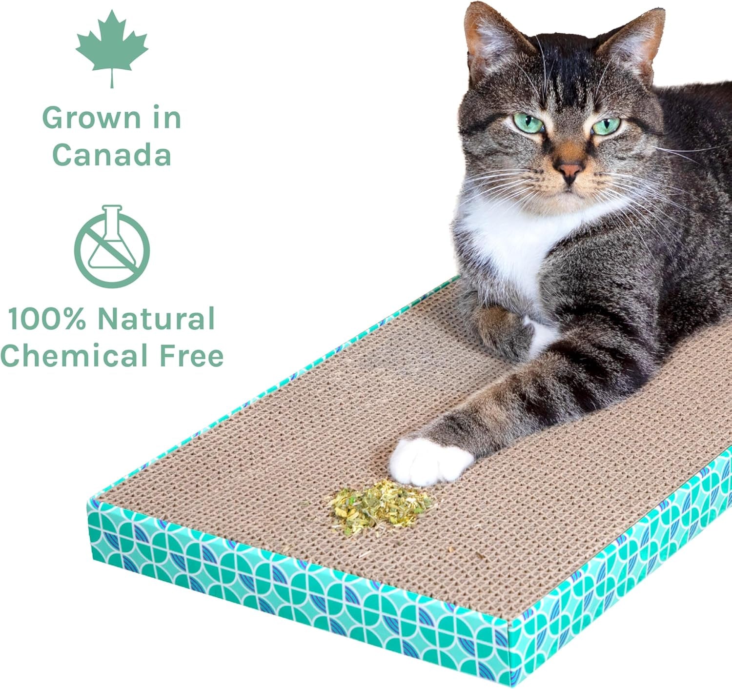 Cat Premium Natural Catnip Collection, Catnip Tin