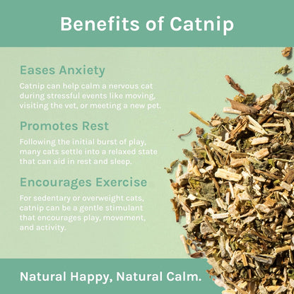 Cat Premium Natural Catnip Collection, Catnip Tin