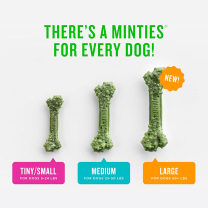Dental Chews for Dogs, 20 Count, Vet-Recommended Mint-Flavored Treats for Medium Dogs 25-50 Lbs, Dental Bones Clean Teeth, Fight Bad Breath, and Removes Plaque and Tartar